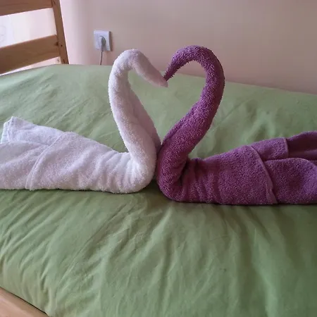 Guest house Guesthouse Gauss 3*